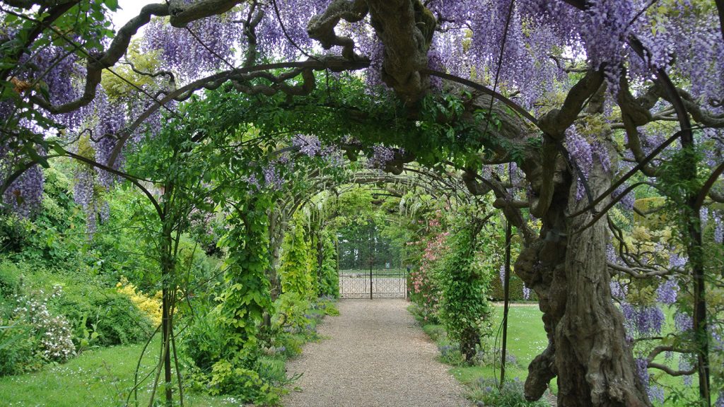 Events – Somerleyton