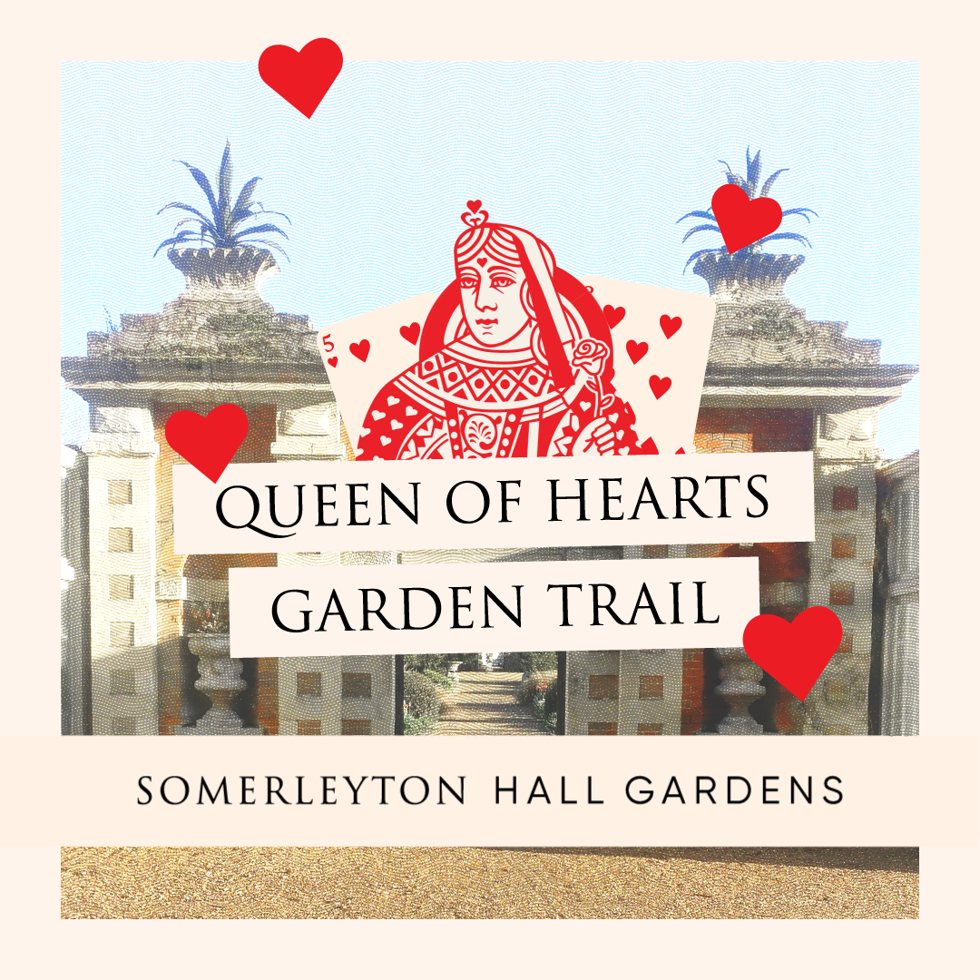 Queen of Hearts Garden Trail Somerleyton