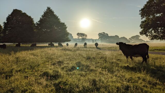 Blog Posts – Somerleyton